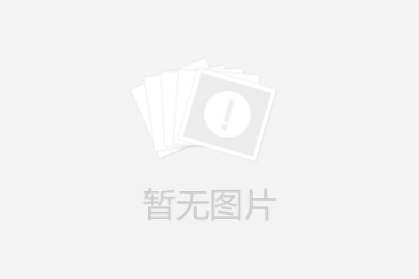 电动燃烧阀ZR948W-2.5DN500L=450mm